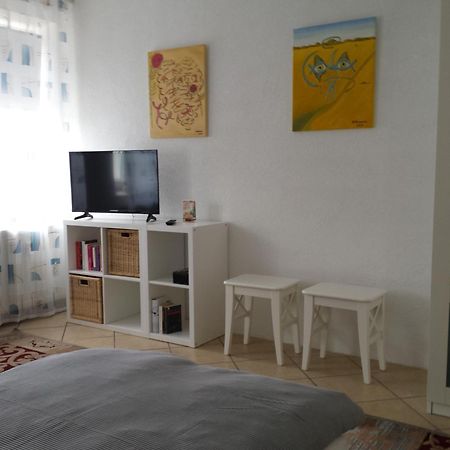 Moderne Wohnung In Barockem Altstadthaus Nahe Altstadt Und Radweg Blieskastel Exteriör bild