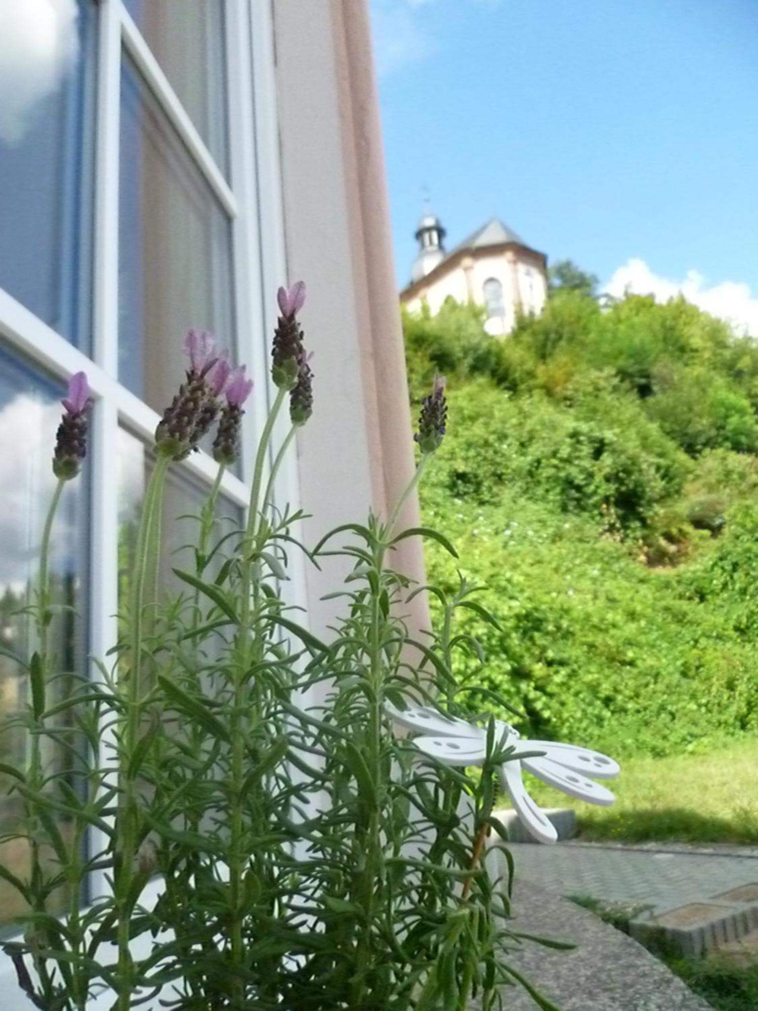 Moderne Wohnung In Barockem Altstadthaus Nahe Altstadt Und Radweg Blieskastel Exteriör bild