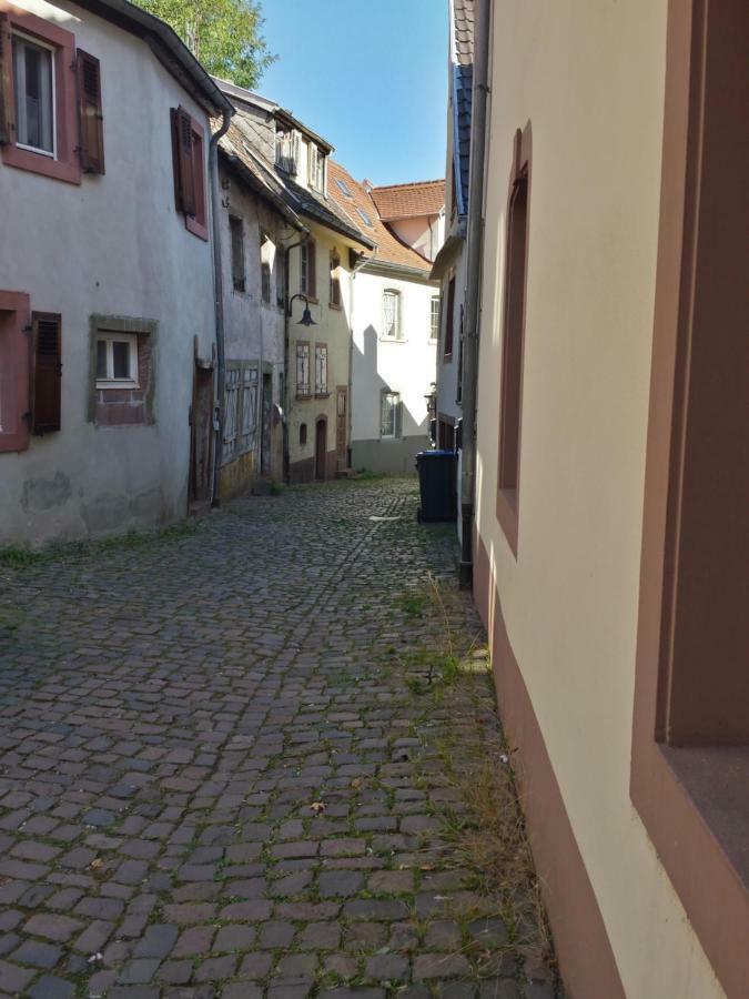 Moderne Wohnung In Barockem Altstadthaus Nahe Altstadt Und Radweg Blieskastel Exteriör bild