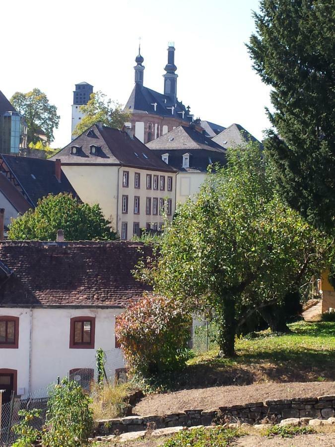 Moderne Wohnung In Barockem Altstadthaus Nahe Altstadt Und Radweg Blieskastel Exteriör bild
